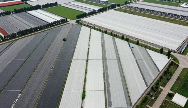 产品维护中的售后响应机制与性能适配分析